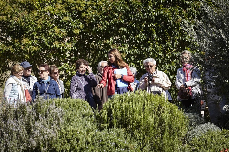 Guided tour in Gréoux-les-Bains